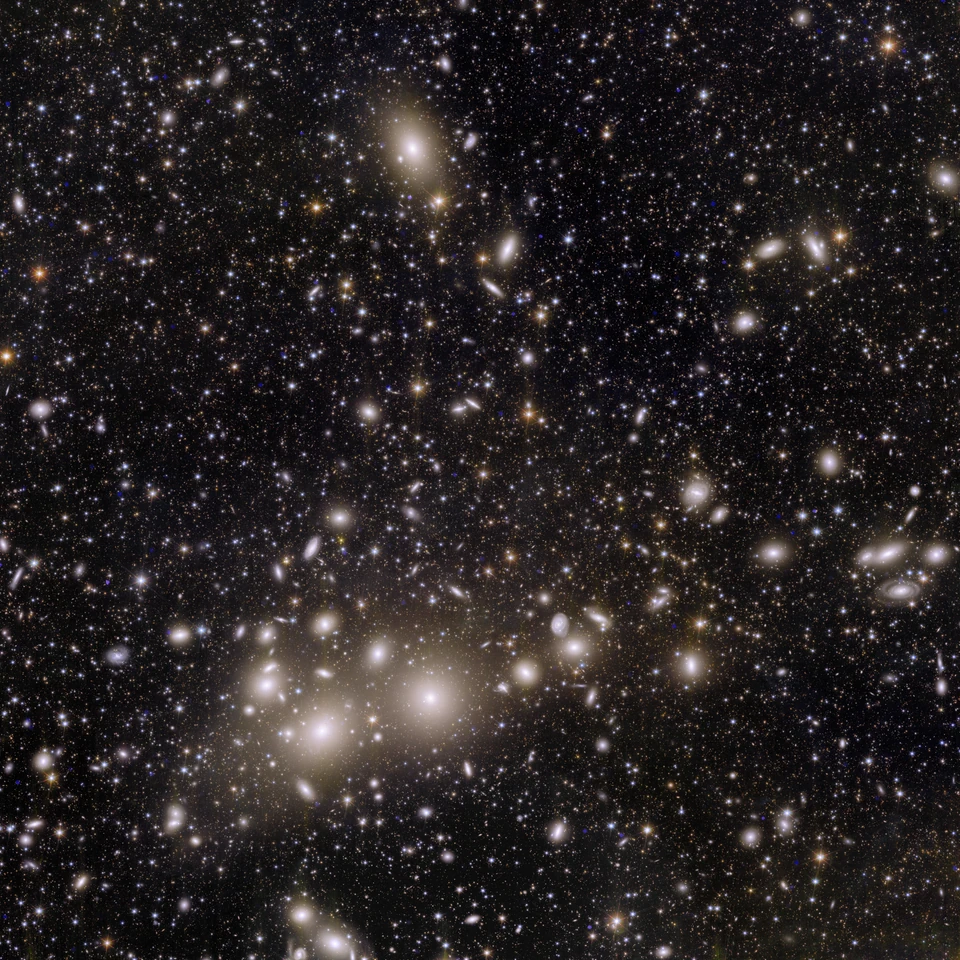 Le champ de Persée observé par Euclid : de nombreuses galaxies et étoiles sur un fond sombre, avec des galaxies lumineuses entourées de halos.